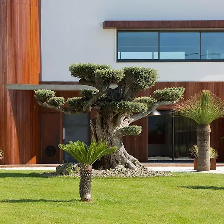 Villa Miramar Frontignan Extérieur photo